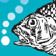 fish graphic