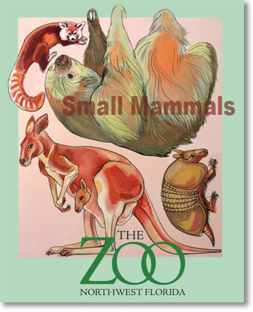 zoo poster